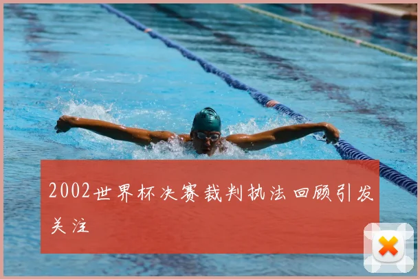 2002世界杯决赛裁判执法回顾引发关注