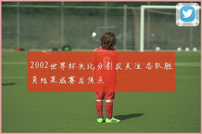 2002世界杯决比分引发关注 各队胜负结果成赛后焦点
