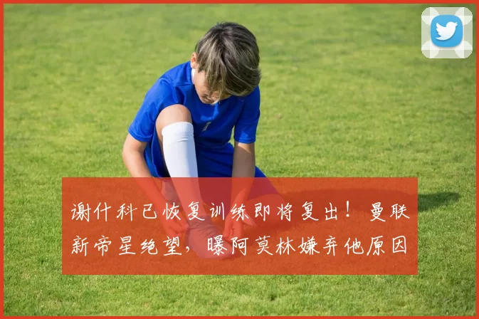 谢什科已恢复训练即将复出！曼联新帝星绝望，曝阿莫林嫌弃他原因