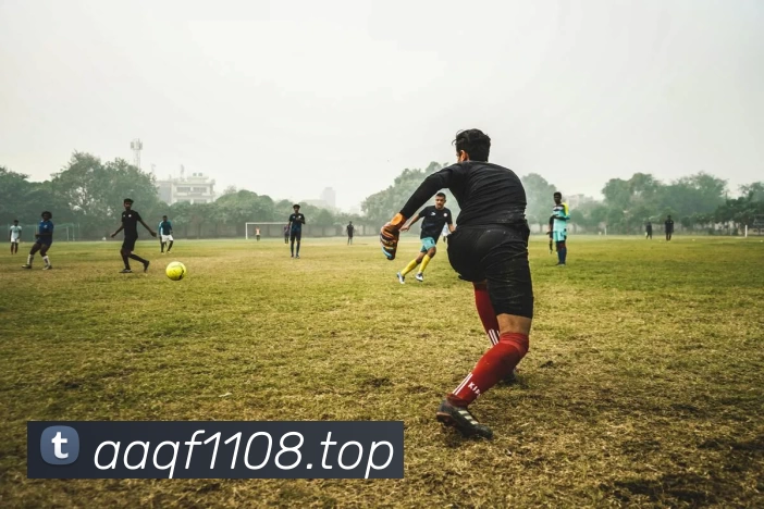 kaiyun开云官方网页版 - kaiyun开云(中国)发展历程