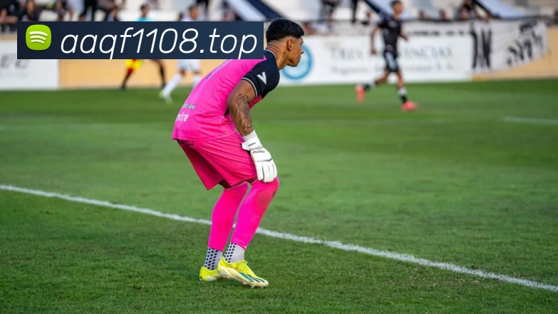 App Interface Preview